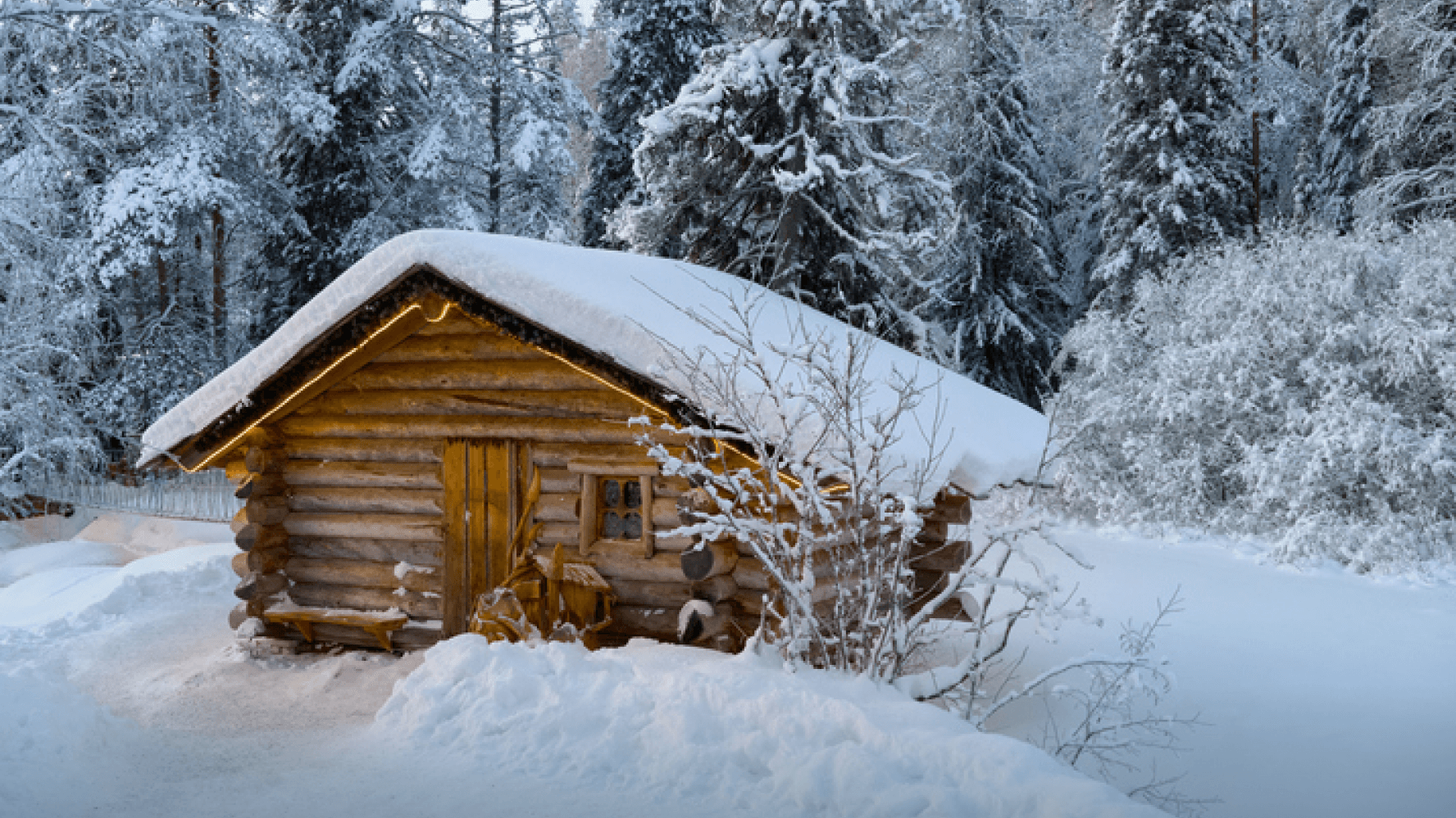 Что такое избинг и сколько стоит пожить в русской избе