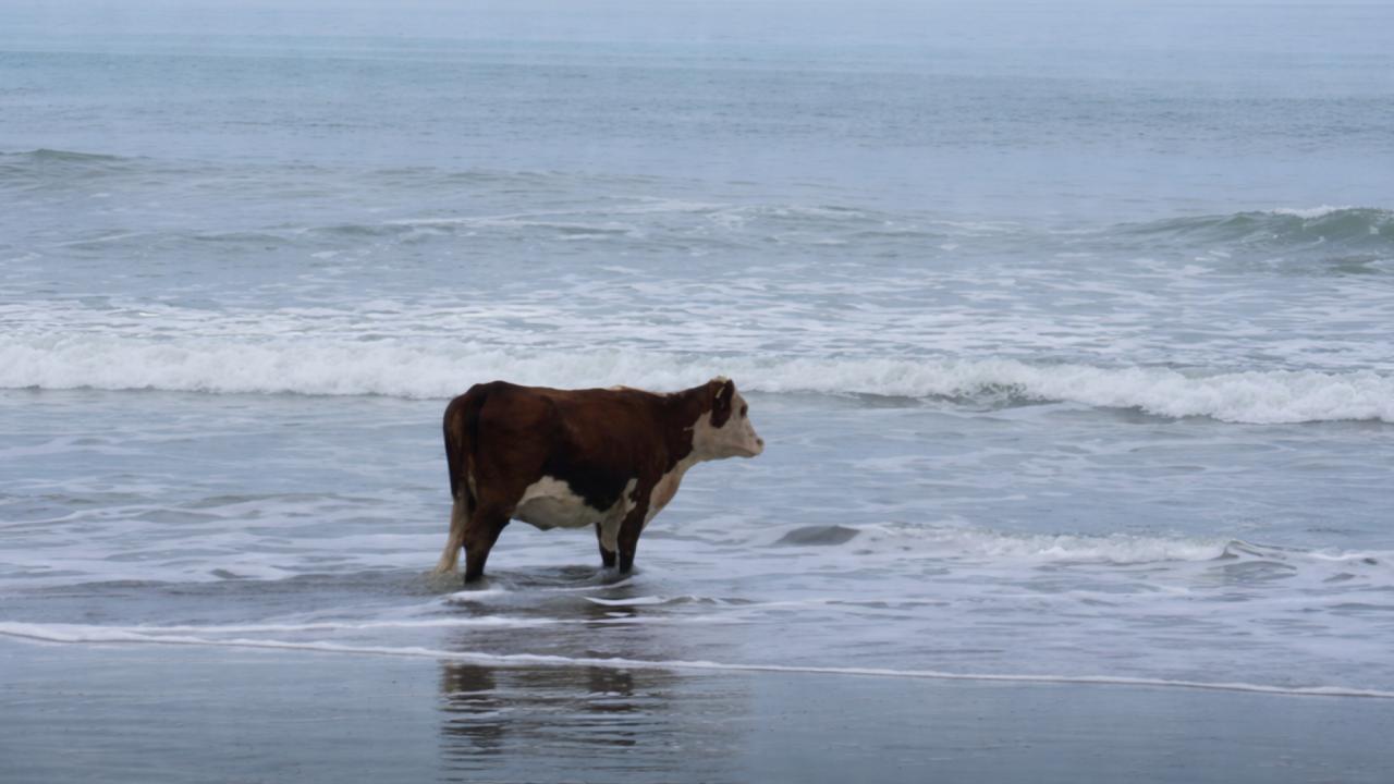 Почему мы устаем даже тогда, когда ничего не делаем